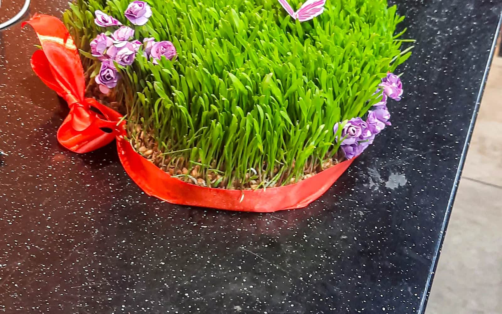 2026年にバクーで飾られたノヴルズの新芽セメニと花