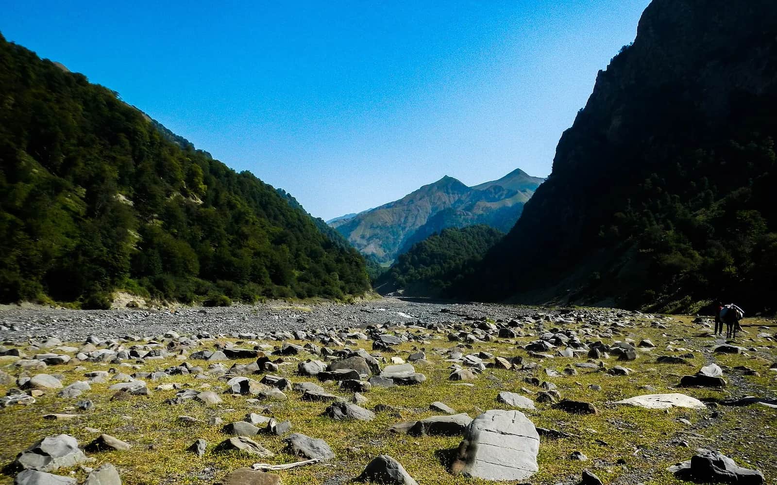 Green mountain valley in the Gabala region in summer