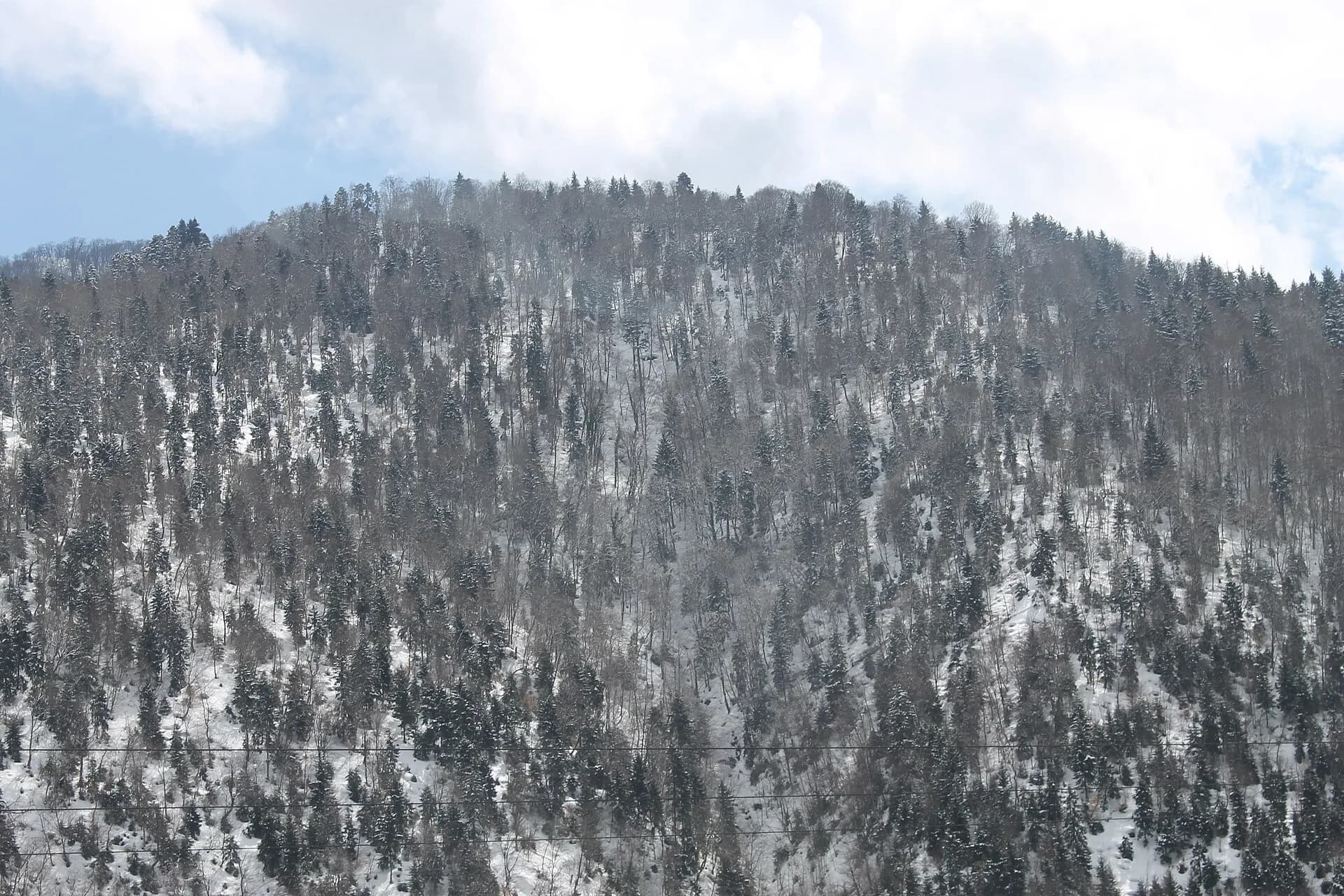 Green landscape around Gabala