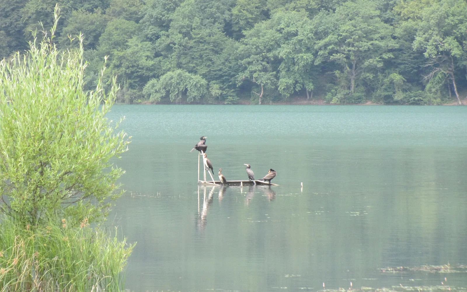 Nohur Lake in Gabala with hills beyond