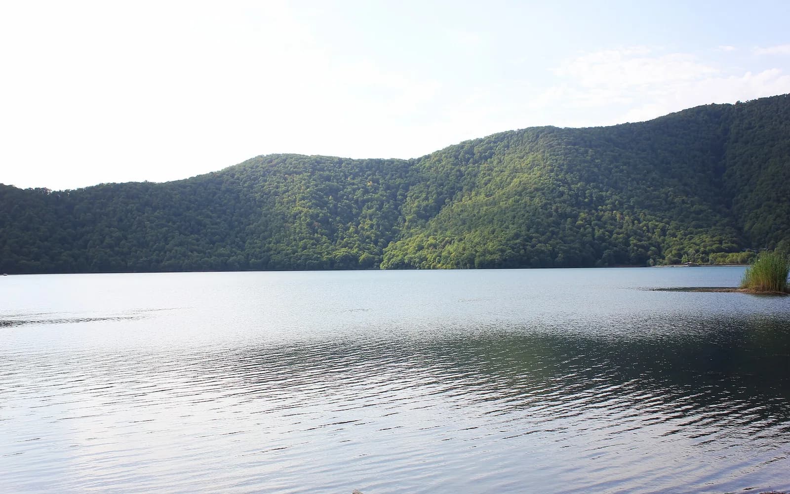 Wooded shore and mountain backdrop at Nohur Lake