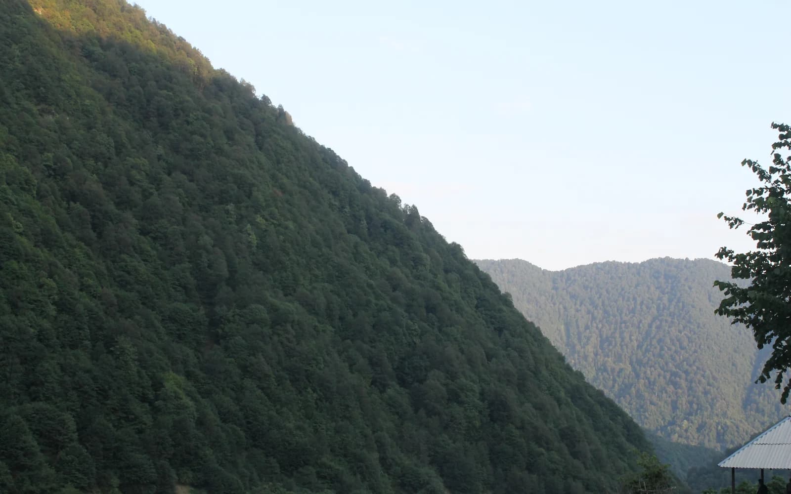 Green wooded valley in the Gabala region