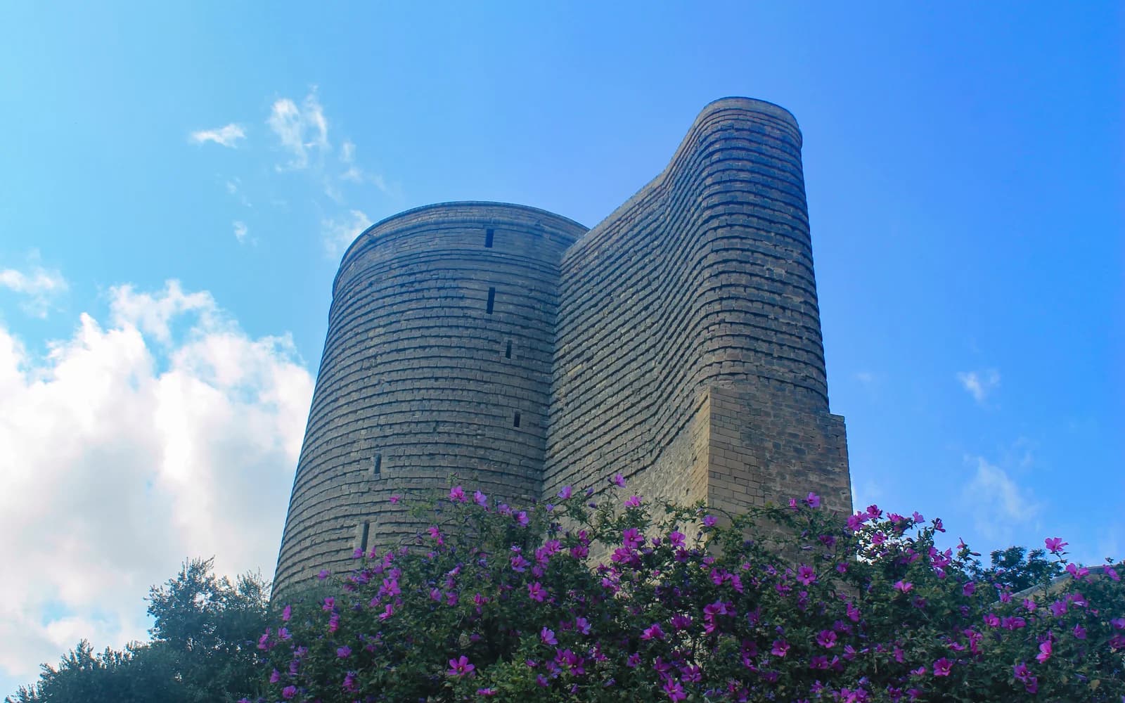 Maiden Tower above flowering shrubs in Baku Old City