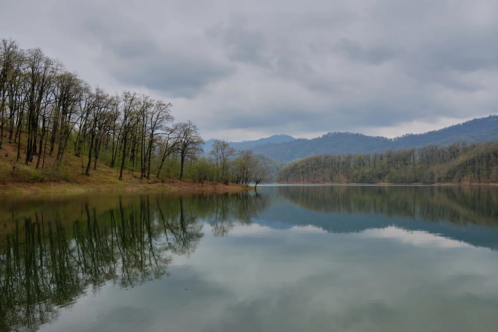 Xanbulan reservoir and its wooded shore near Lankaran