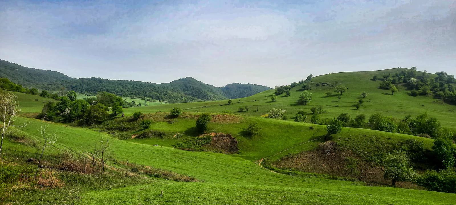Rolling green pasture and wooded ridges in the Greater Caucasus foothills, Ismayilli district, Azerbaijan