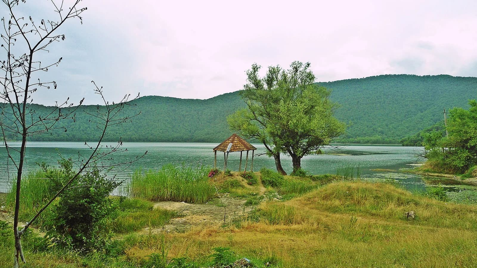 Nohur Lake and its wooded shoreline in Azerbaijan's Gabala region