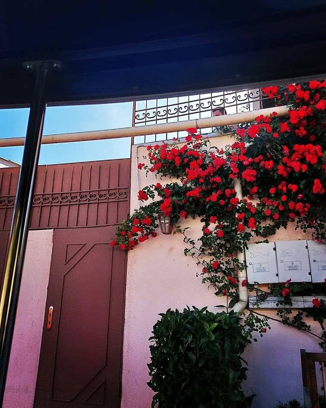A flower-covered doorway in Balakhani, Baku